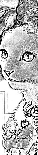 Free colorable bookmarks of a cat wearing a necklace